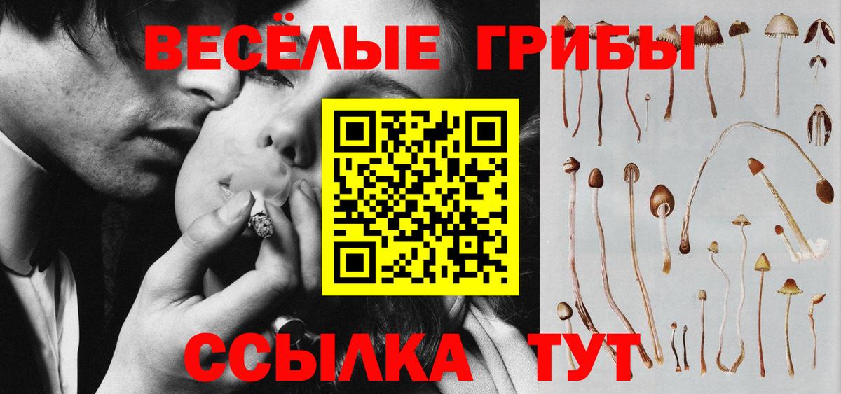 Псилоцибиновые грибы Psilocybe Дербент