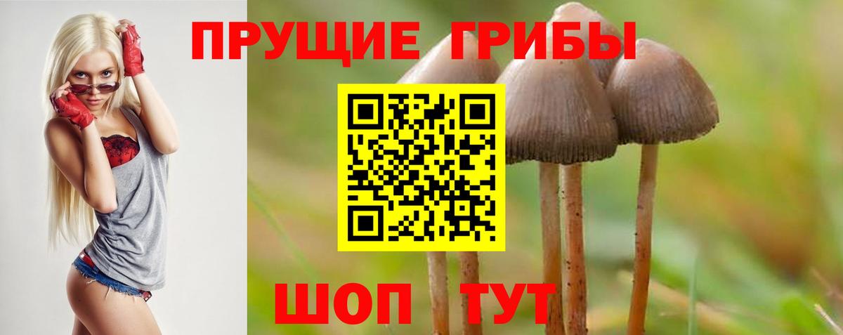 Дербент  Галлюциногенные грибы прущие грибы  как найти закладки  Вход с VPN  Галлюциногенные грибы Magic Shrooms 